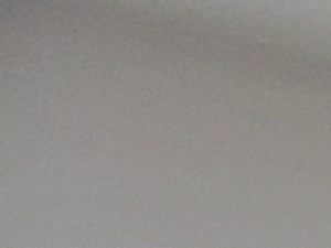 300 Elmer Rd. 2 Beds Apartment, Affordable for Rent - Photo Gallery 6
