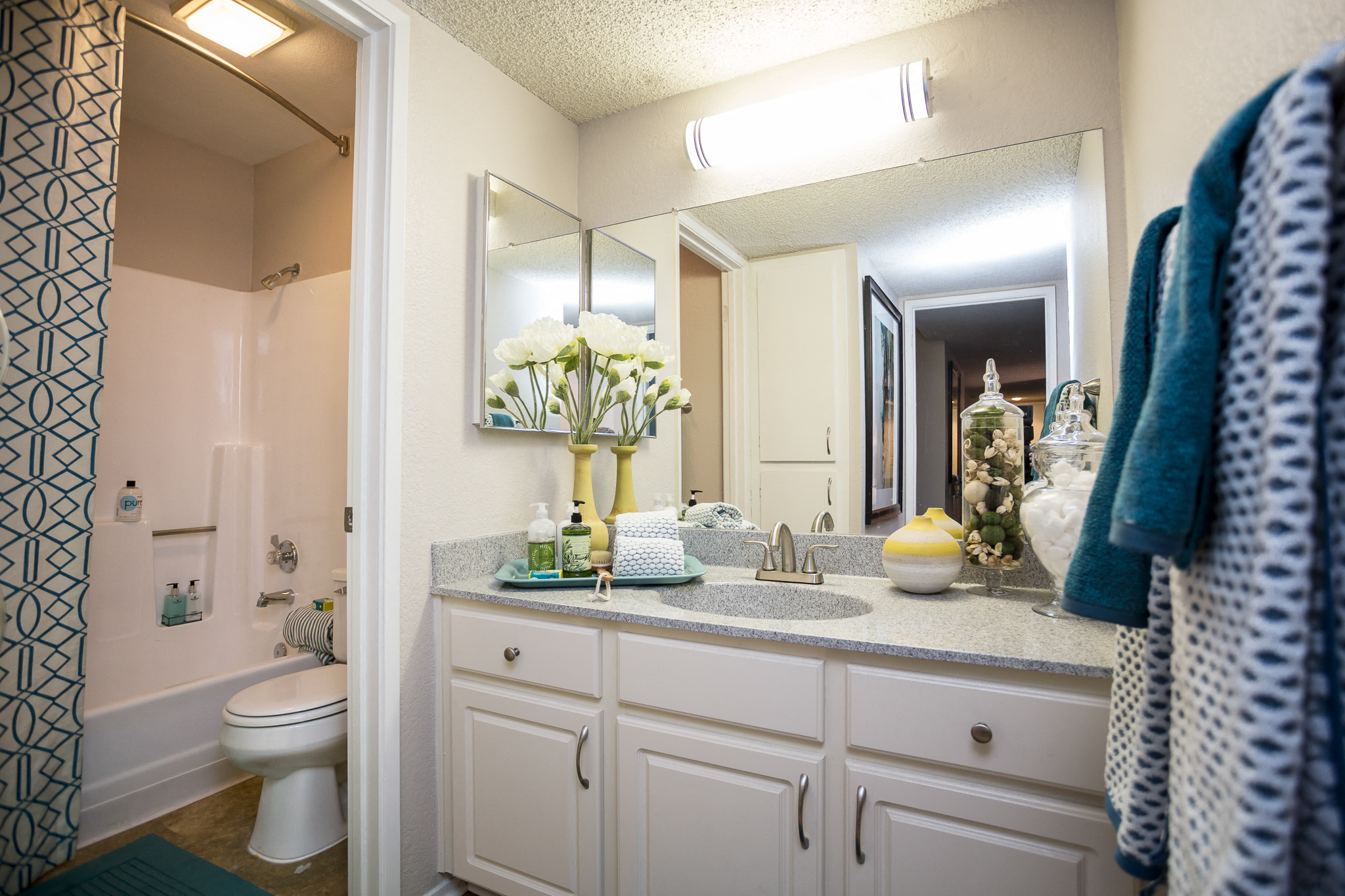 a bathroom with a sink and a mirror and a toilet
