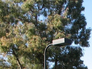 a tennis court with trees in the background on a sunny day