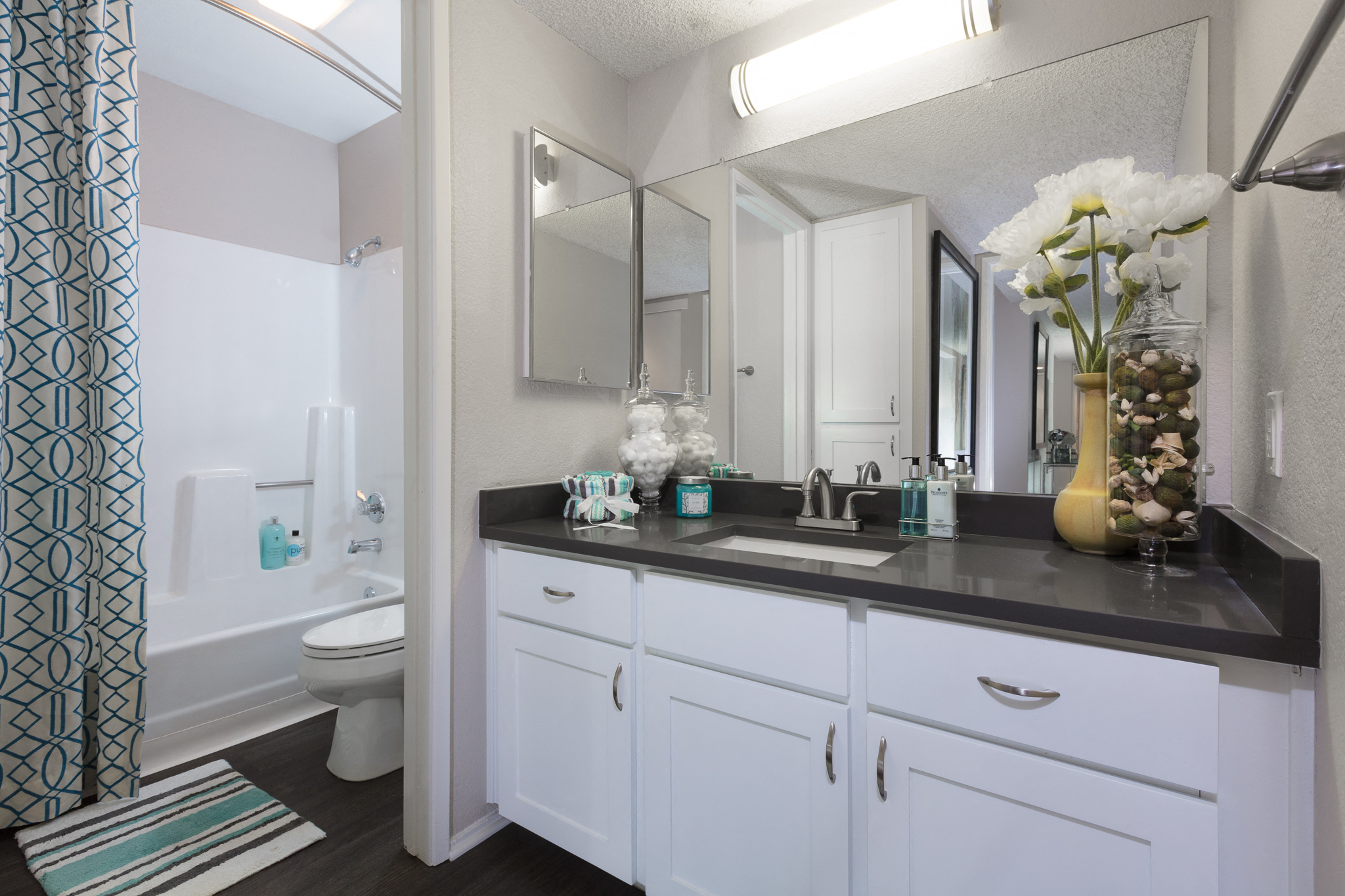a bathroom with a sink and a toilet and a mirror