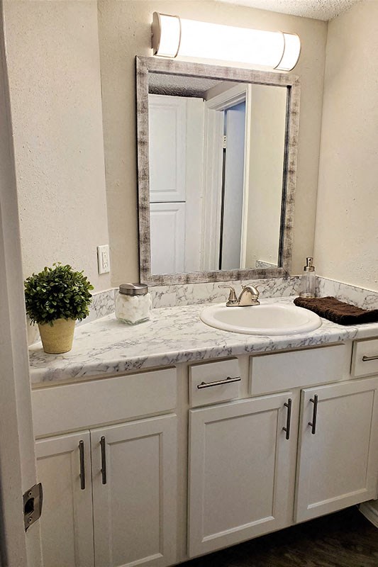 Bathroom vanity with cupboard at GEORGETOWN PARK, Texas, 78628