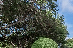 Photos And Video Of Georgetown Park In Georgetown Tx