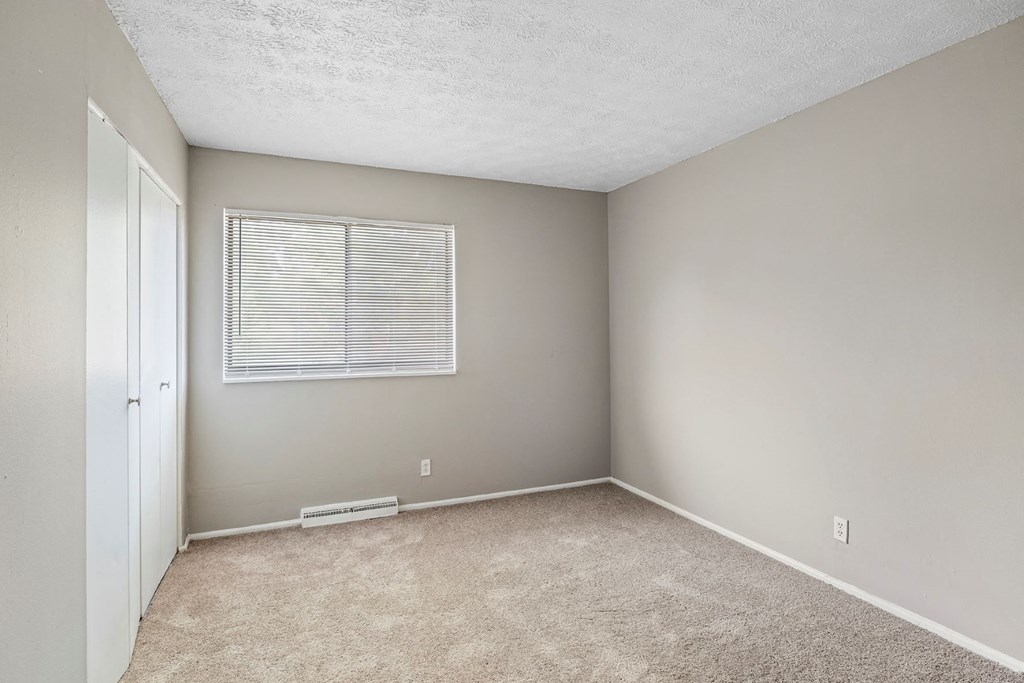 an empty room with beige carpet and a window