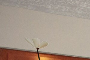Greenway Apartments Indy Town 5350 E 21st St Indianapolis In Rentcafe Greenway Apartments Indy Town 5350 E 21st St Indianapolis In Rentcafe