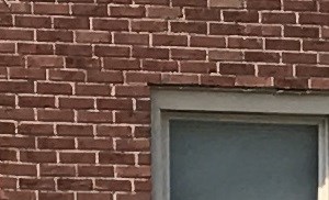 6046 E 21St Street, Suite 1B Management Office 1-2 Beds 0 for Rent