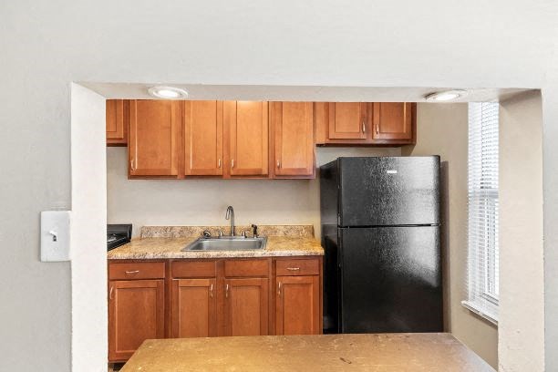 a kitchen with a black refrigerator and a sink