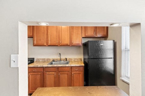 a kitchen with a black refrigerator and a sink