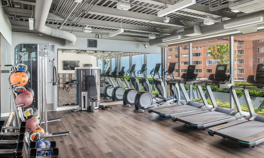 A row of treadmills and elliptical machines site before floor to ceiling windows.