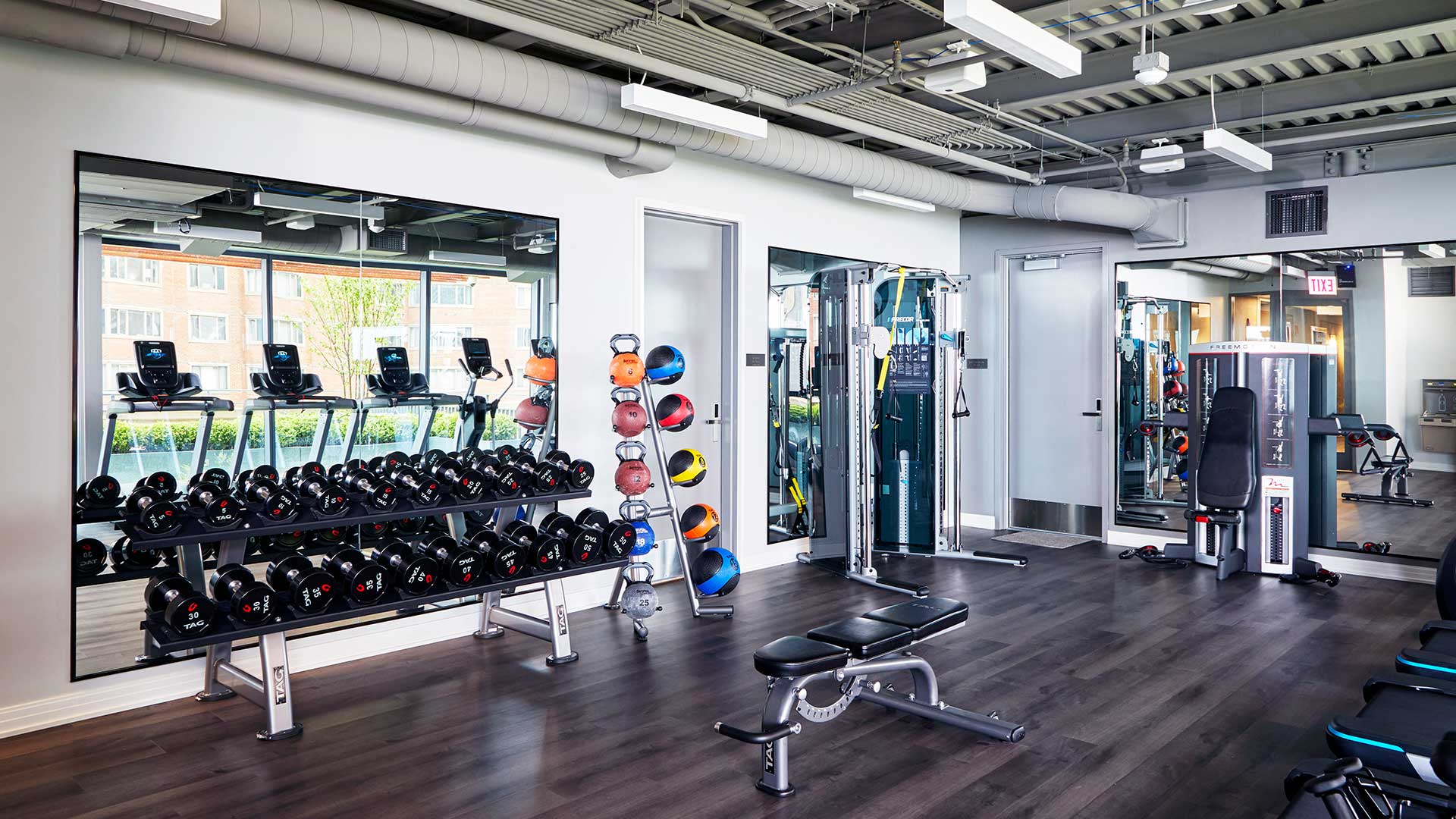 A set of free weights and other gym equipment line the walls of the fitness center at 61 Banks Street.