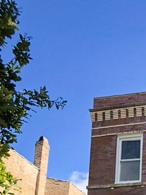 Houses For Rent In North Side Chicago Chicago Il Rentcafe