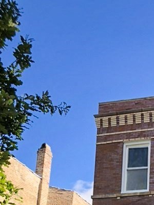 2441 N Harding Ave Unit 2 Rentals Chicago Il Rentcafe