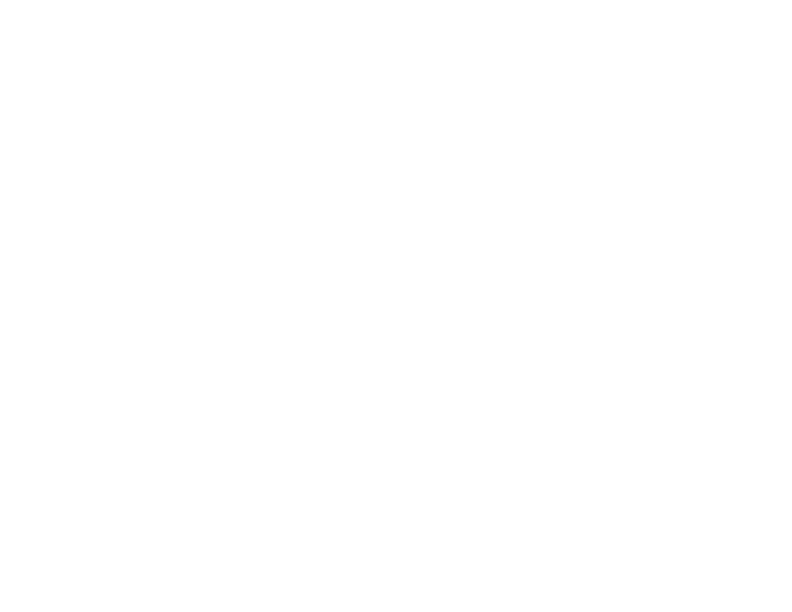 The Renaissance at Norman logo