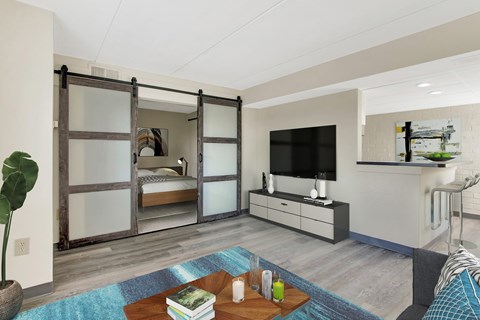 a living room with a tv and sliding barn doors