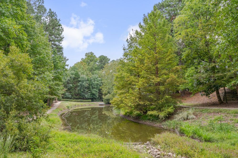 a pond in the middle of a park with trees