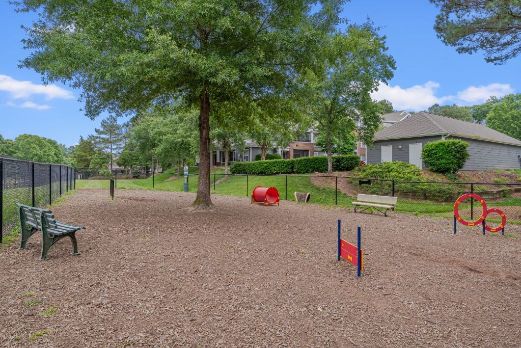 our community park has a playground and a tree