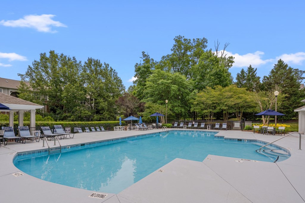 a swimming pool with chairs and umbrellas at the resort