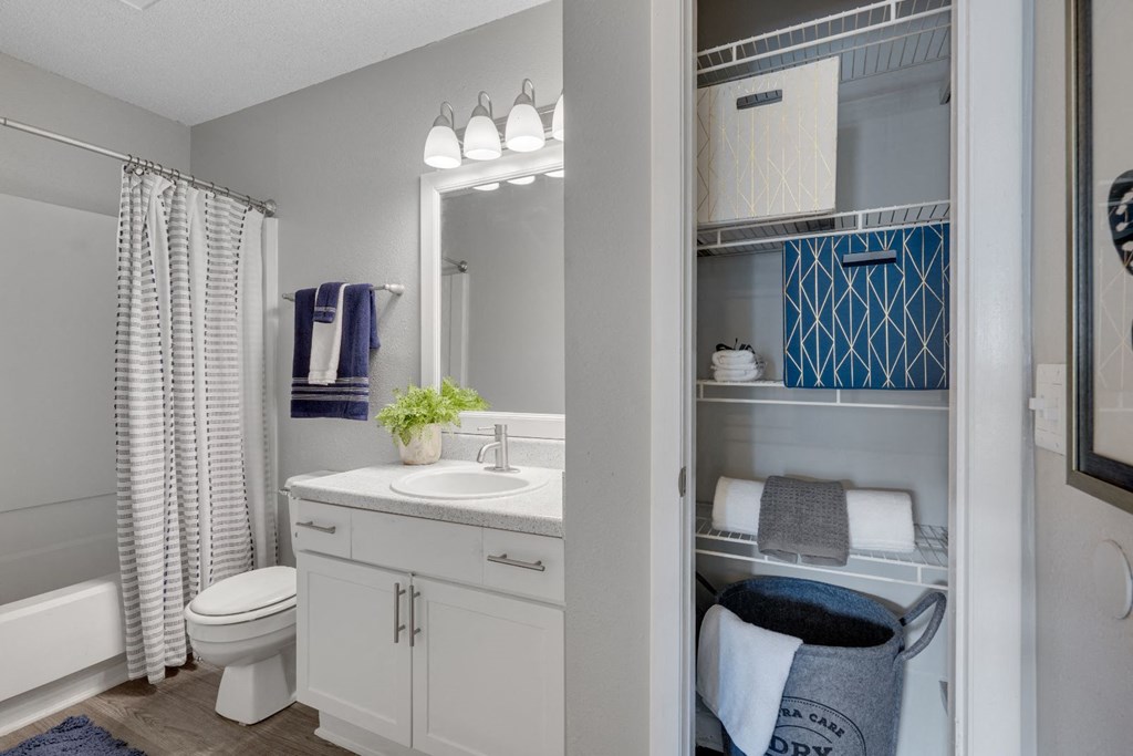 a bathroom with a sink and a toilet and a shower