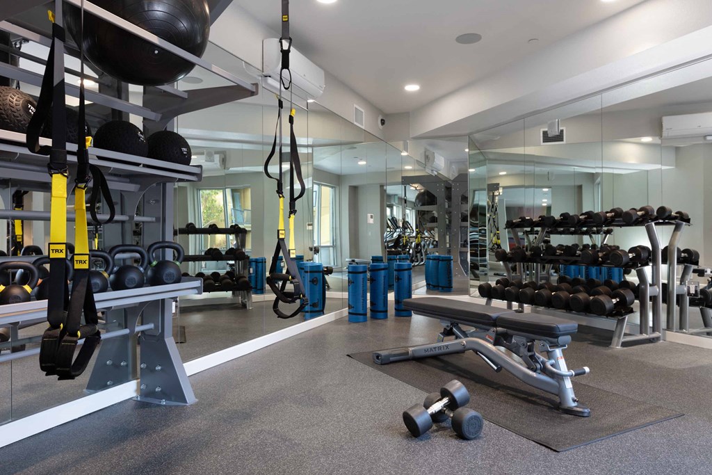 The Edge Milpitas CA fitness 3