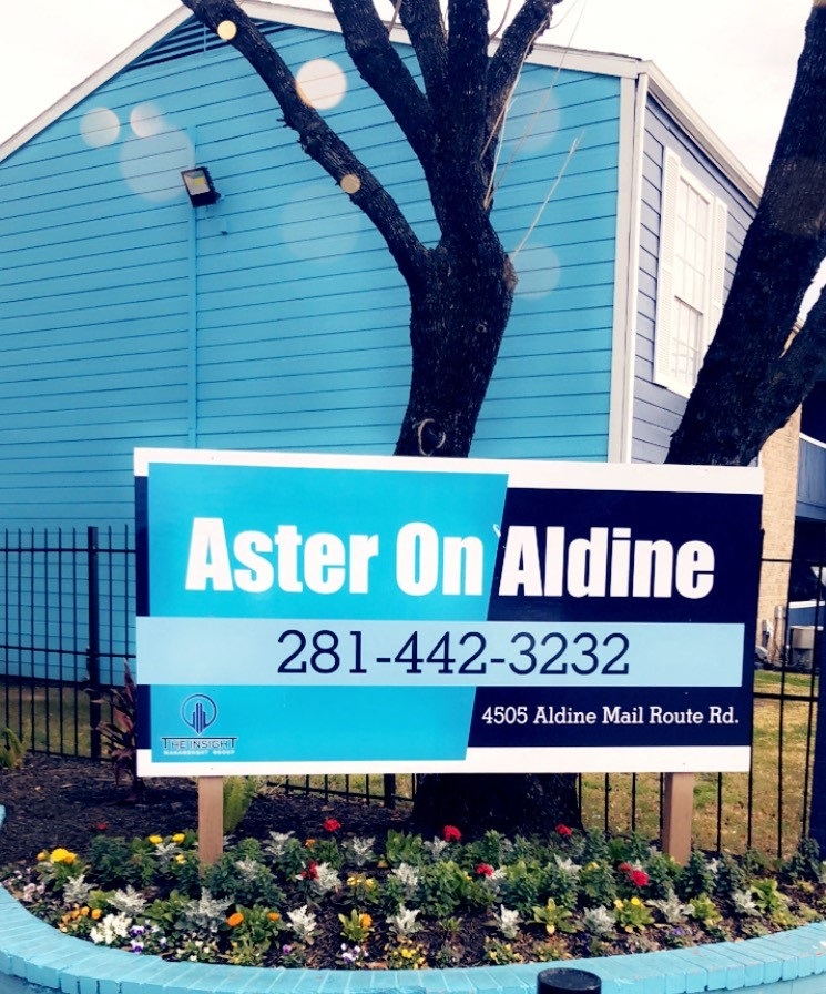 Aster On Aldine