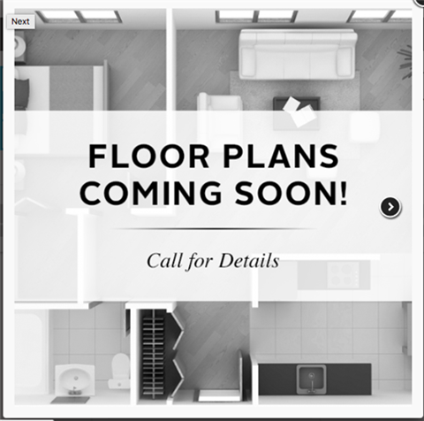 1 bedroom 1 bathroom Floor plan B at The Falls, Mission, Kansas