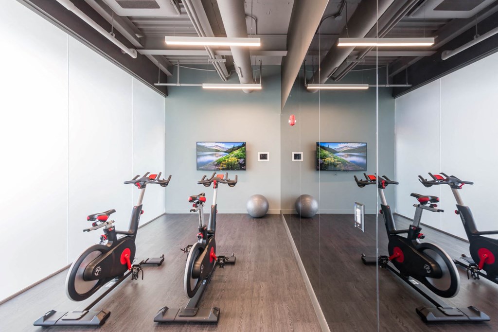 a gym with exercise bikes and paintings on the wall