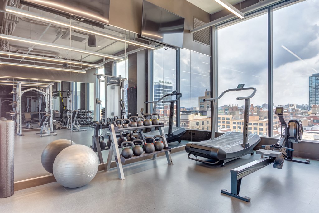a gym with weights and exercise balls and a view of the city
