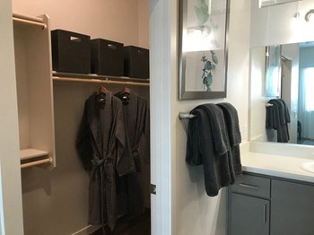 Closet and Bathroom vanity at Avilla Camelback Apartments in Phoenix Arizona - Photo Gallery 4