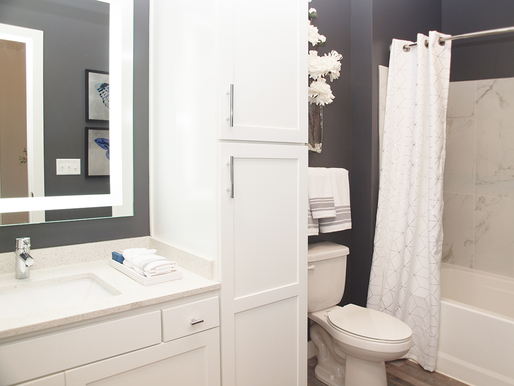 a bathroom with a toilet and a sink and a mirror