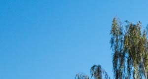 Riverwood Heights Apartments Apartments In Tigard Or