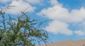 Photos and Video of Converse Ranch in Converse, TX