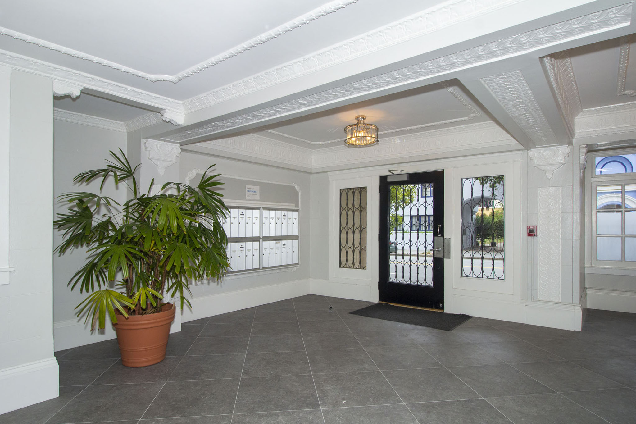 A room with a potted plant, a black door, and a chandelier.