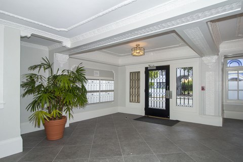 A room with a potted plant, a black door, and a chandelier.