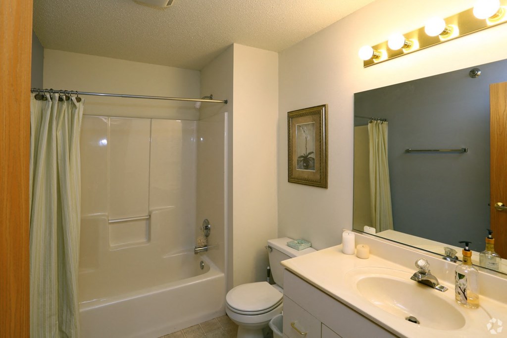 a bathroom with a sink toilet and a shower