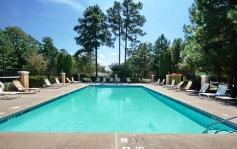 A large swimming pool surrounded by trees and lounge chairs.