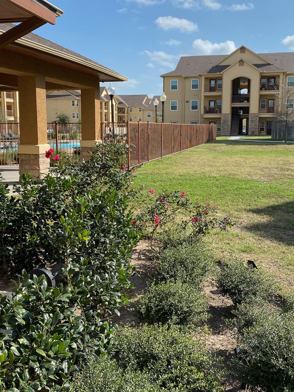 a yard with bushes and a fence in front of an apartment building