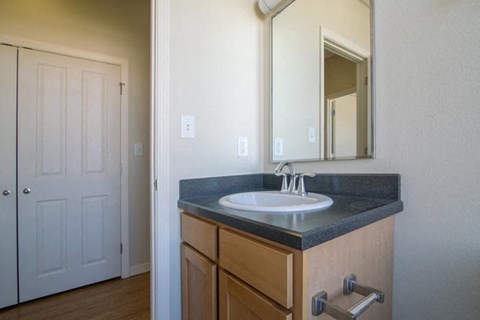 a bathroom with a sink and a mirror