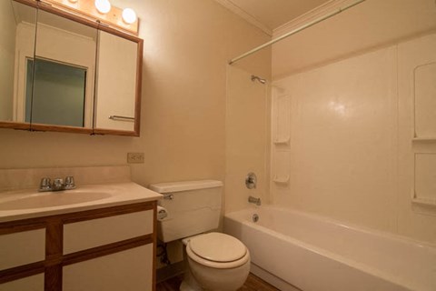 a bathroom with a toilet and a sink and a bath tub