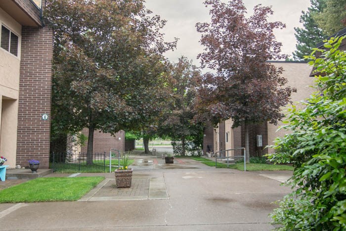 an empty street with trees in front of a building