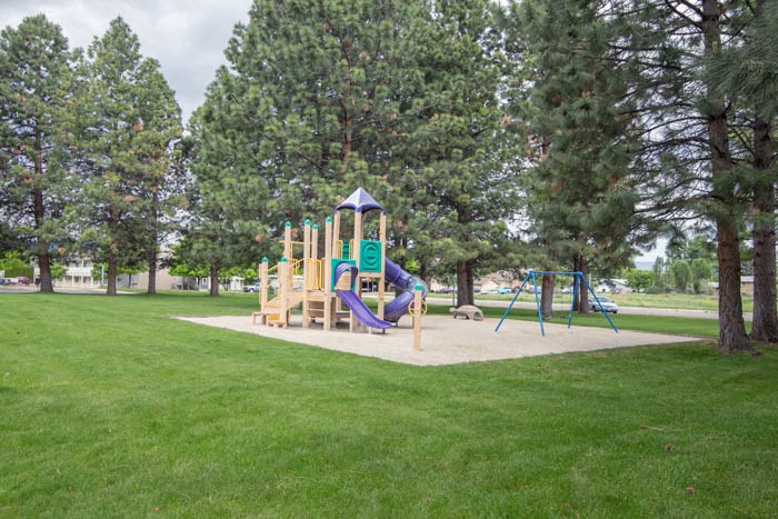 a playground with a swing set and a slide in a park
