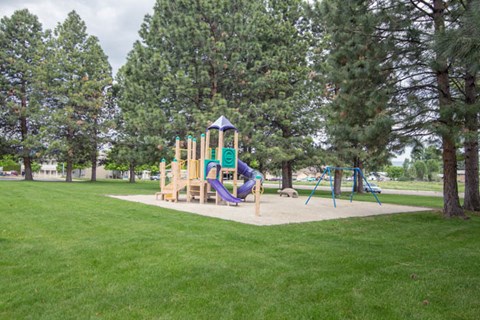a playground with a swing set and a slide in a park