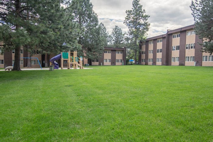 a large lawn with a playground in front of an apartment building