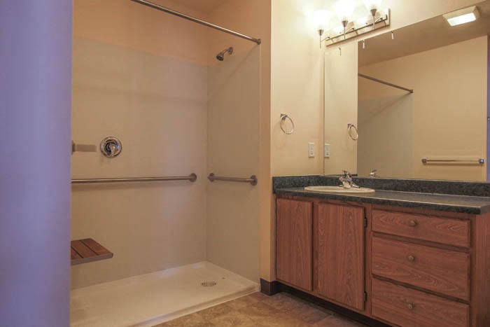 a bathroom with a sink and a shower and a mirror