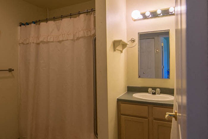 a bathroom with a sink and a shower and a mirror