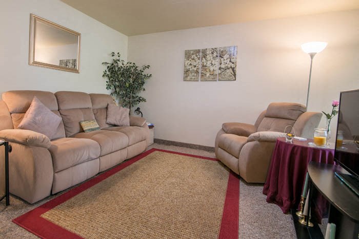 a living room with two couches and a tv