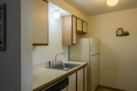 a kitchen with a sink and a refrigerator