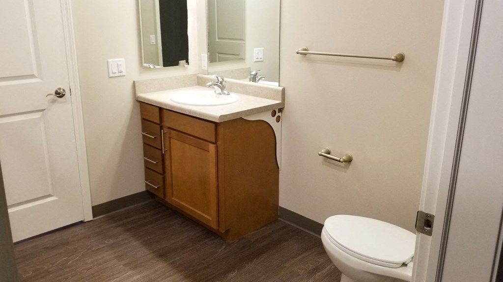 a bathroom with a toilet and a sink and a mirror
