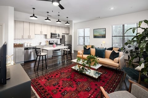 an open living room and kitchen with a rug