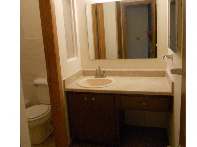a bathroom with a sink and a mirror and a toilet