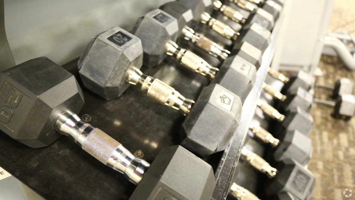 a collection of weights on a rack in a gym
