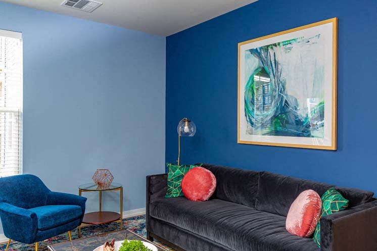 a living room with blue walls and a black couch